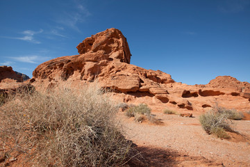 Fototapeta premium Red rock formation in Nevada Valley of Fire