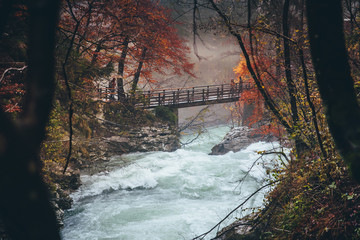 Wonderful Vintgar empty wooden bridge rain autumn forest. Gorge canyon. Empty wooden bridge over the river. Slovenia. Europe