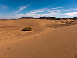 Fototapeta na wymiar Wüstenwanderung in der Nähe von Zagora Marokko. 