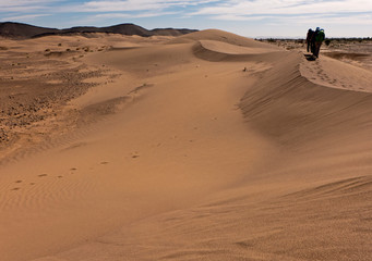 Fototapeta na wymiar Wüstenwanderung in der Nähe von Zagora Marokko. 