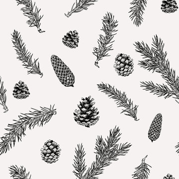 Seamless winter pattern with hand drawn pine cone and branches. Botanical illustration decor for paper, textile, wrapping decoration, scrap-booking, t-shirt, cards.