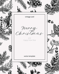 Christmas card in vintage style. Hand drawn botanical illustration with evergreen plants and cones. Greeting template for winter holidays.