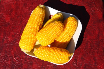 Sweet boiled corn on a plate.