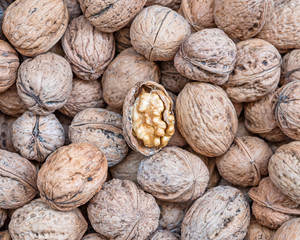 one open walnut on nutshells, tasty background