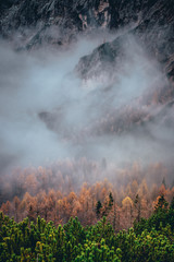 Autumn mist in forest. Aerial view in alps. Slovenia.