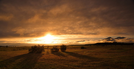 Island Höfn © Christian Löffler