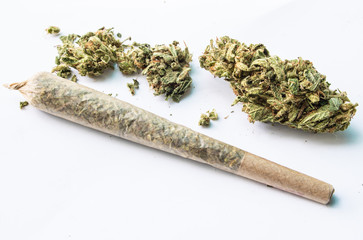 Marijuana flower and rolled joint on white background 