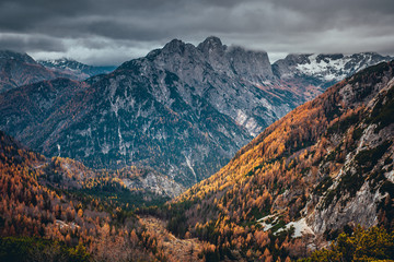Fototapeta premium Clouds in orange autumn mountains valley. November in Alps forest.