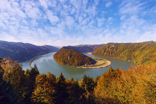Donauschlinge Schl&ouml;gen