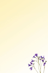 Vertical yellow greeting card with bluebell flowers in right bottom corner