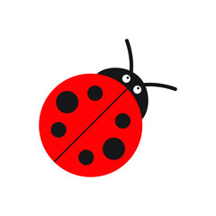 Fototapeta premium Ladybug or ladybird vector graphic illustration, isolated. Cute simple flat design of black and red lady beetle.