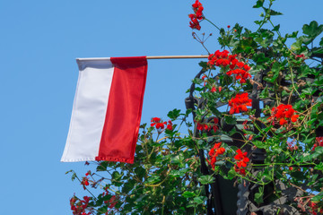 Flaga Polska 3 © Mariusz Sowula