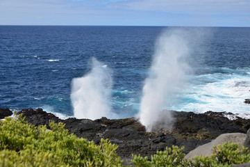 Fototapeta na wymiar Galapagos sea geyser