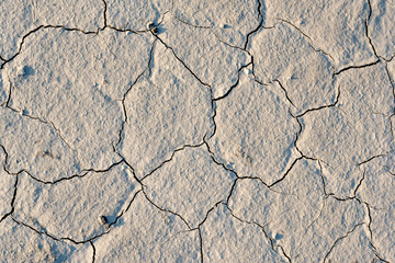 dry cracked earth