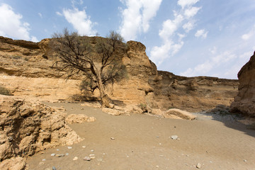 Sesriem canyon