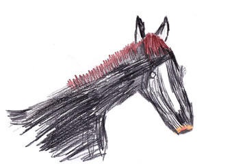 Lieselotte das schnellste Pferd der Welt © Calissi