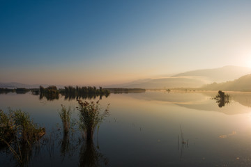 Fototapeta na wymiar Wetlands on a Bright Morning