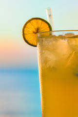 Glass of lemonade against California sunset, room for text