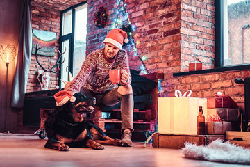 Obraz na płótnie Canvas A young man holding cup with coffee during Christmas time with his cute dog in a decorated living room.