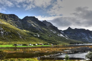 Lofoten, Flakstad, Skjelfjorden, Fjord, Straße, Schotterstraße, Schaf, Schafe, weiden, Herde,...