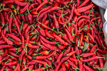Fototapeta premium red chilli peppers with pink pepper