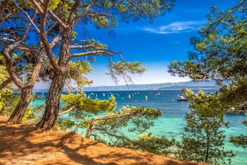 Crédence de cuisine en plexiglas Plage tropicale Seaside promenade on Brac island with pine trees and turquoise clear ocean water, Bol, Brac, Croatia