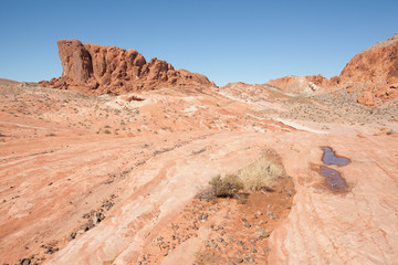 Fototapeta premium Fire wave rock formation in Valley Of Fire State Park