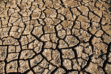 dry land, water shortages