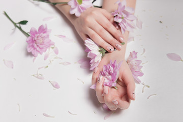 Beautiful well-groomed velvet woman's hands with stylish Nude manicure hold soft pink flowers that are scattered on table