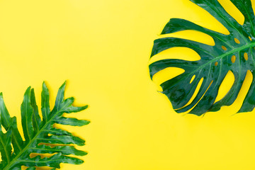 Fototapeta na wymiar Summer flat lay scenery with tropical leaves on yellow background with copy space