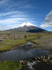 Cotopaxi and Stream