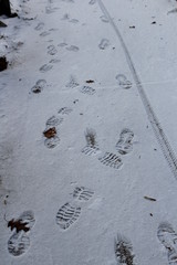 footprints in the snow