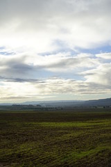 Obraz premium PRADO LABRADO 