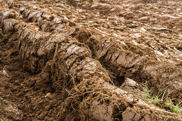 Plowed field in the autumn time
