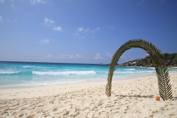 Fototapeta na wymiar Beautiful beach La Digue, Seychelles