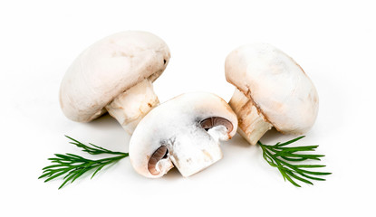 champignons on white background