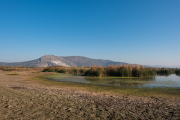 Marshland Daily shot