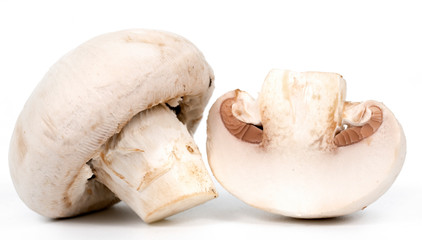 champignons on white background