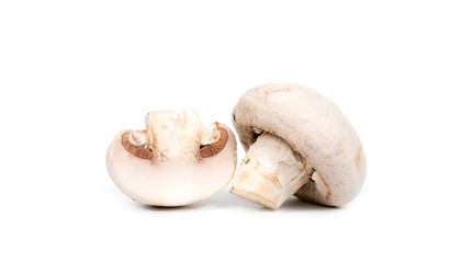 champignons on white background