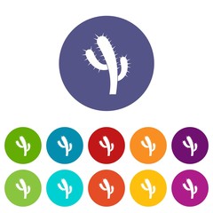 Cactus icons color set vector for any web design on white background