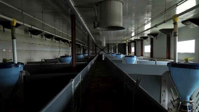 Interior of new empty pig farm with modern equipment for feeding livestock