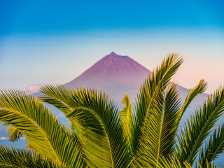 Fototapeta na wymiar Image of the volcano mountain of pico with palm trees in the foreground