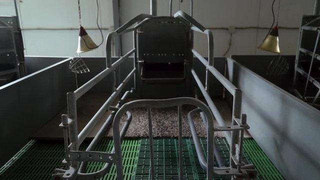 empty new clean pens in maternity room are on modern industrial pig-breeding farm, front view