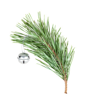 spruce green branch with silver bebunens toy, isolated