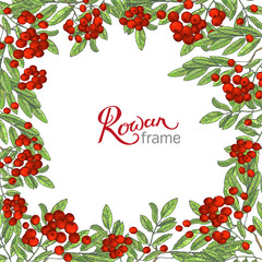 Vector hand drawn rowan frame. Suitable for decoration greeting cards for the autumn and winter seasons