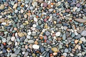 A lot of coloured pebbles on a shore for a background of natural material
