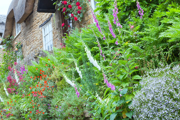 Multi colored flowers in bloom in front garden of charming, old stone cottage, summer English countryside village .