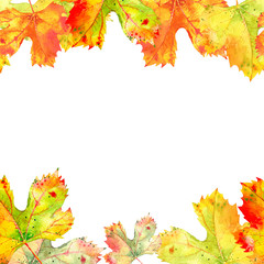 Naklejka na ściany i meble Seamless border frame of fall grape vine leaves. Autumn foliage isolated on white background. Realistic watercolor hand painted illustration. White space for text
