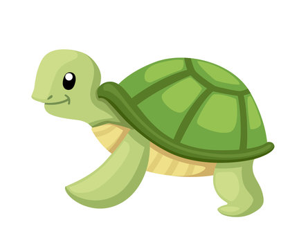 Happy cute turtle walking with smile. Cartoon character design. Flat vector illustration isolated on white background