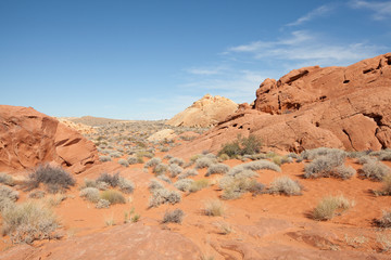 Fototapeta premium Rainbow Vista Trail in Valley of Fire State Park in Nevada
